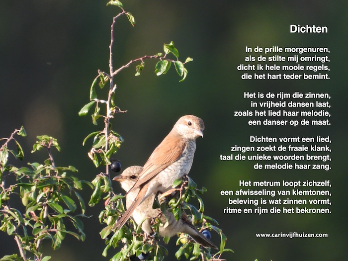 POETRY